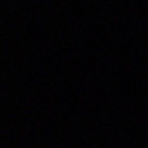 Meet your Posher, Bonnie